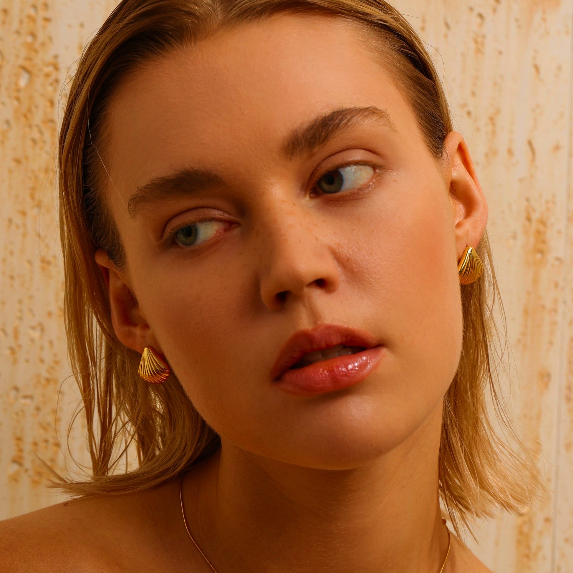 Shell Stud Earrings - Gold - Earrings - ONNNIII
