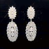 Double Oval Drop Earrings - Earrings - ONNNIII