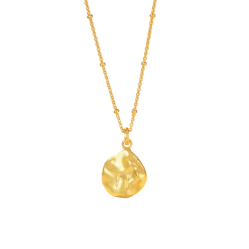 Textured Round Pendant Necklace - 22K Gold Vermeil