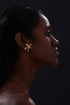 Starfish Stud Earrings - Earrings - ONNNIII